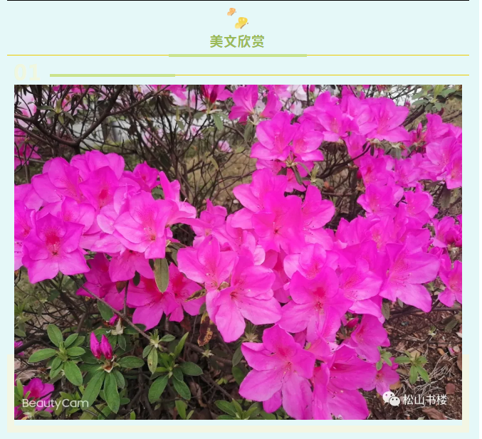C:\Users\Administrator.LI-20191216OWRP\Desktop\图片9.png C:\Users\Administrator.LI-20191216OWRP\Desktop\图片9.png